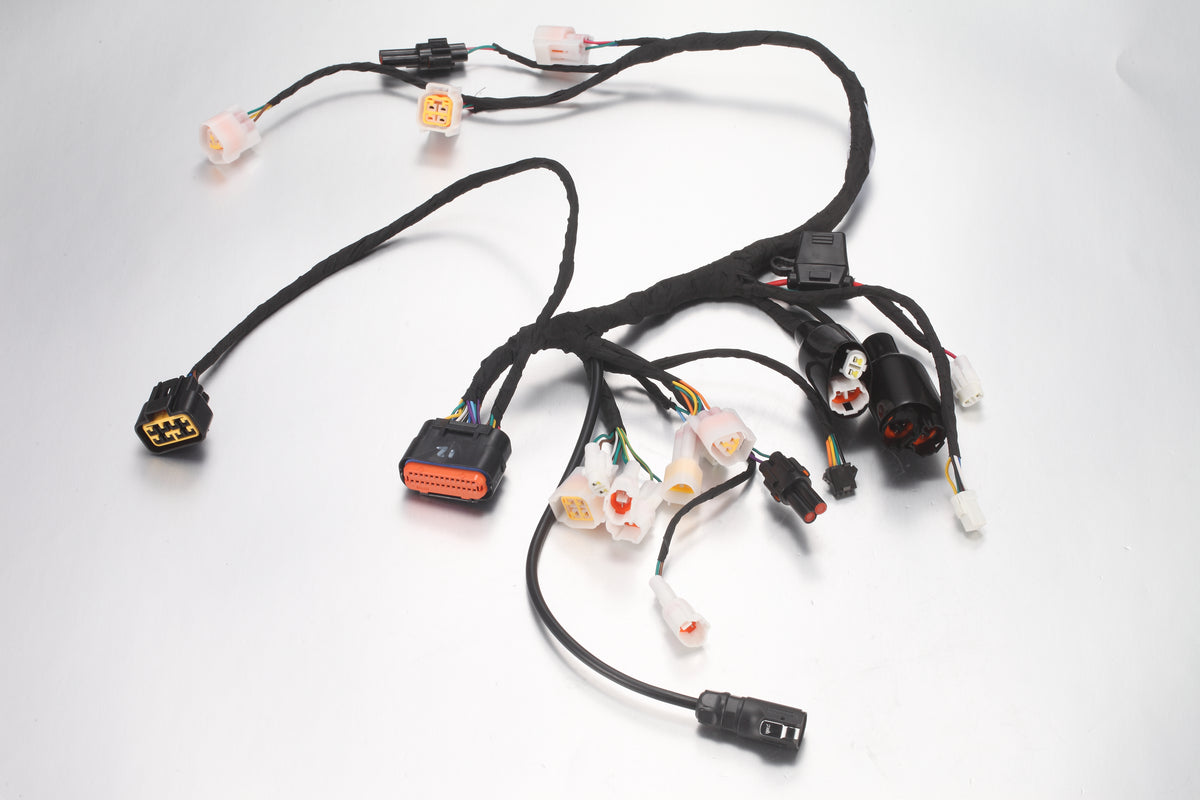 Main wiring harness - Mini