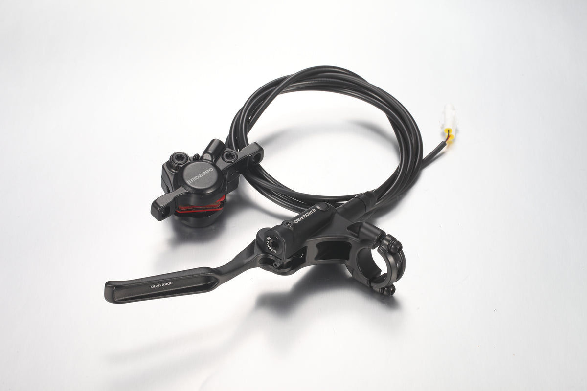 Rear Brake Cylinder Pump Assembly - Mini