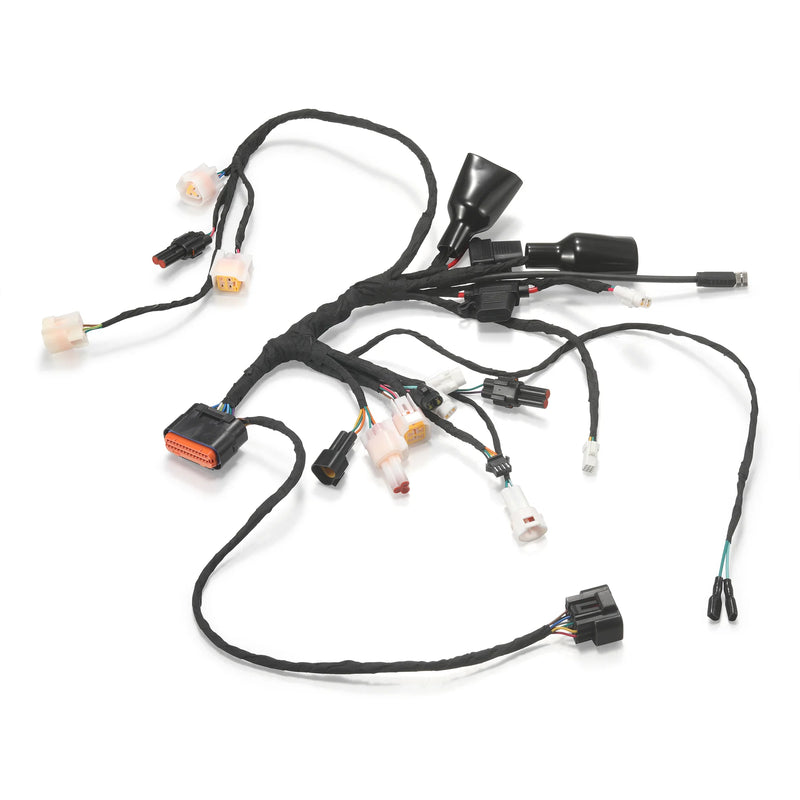 E6028-B - Main Wiring Harness(New Connector) - Mini R
