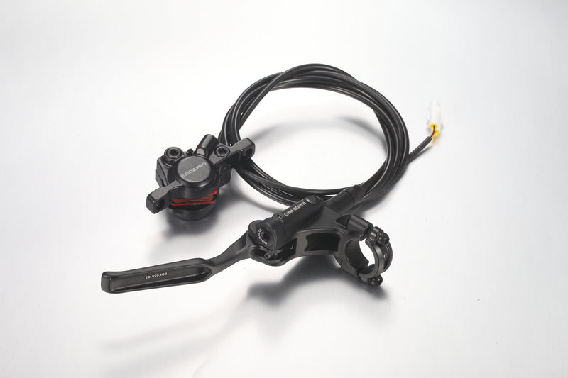 Rear Brake Cylinder Pump Assembly - Mini