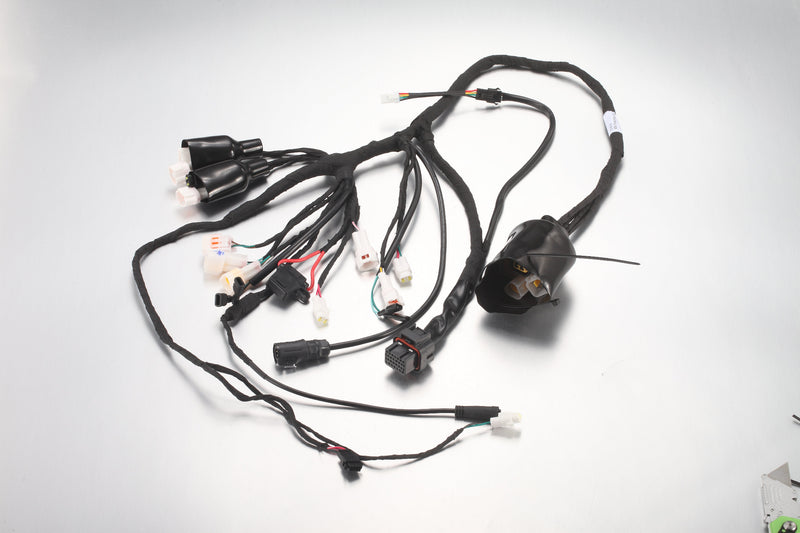 Wiring Harness - SS3.0/ Road Legal
