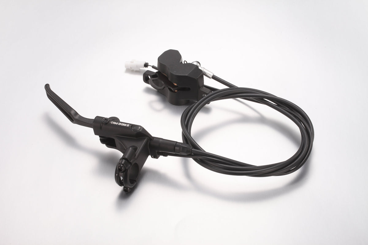 Rear Brake Assembly - ProS/SS2.0/Off Road